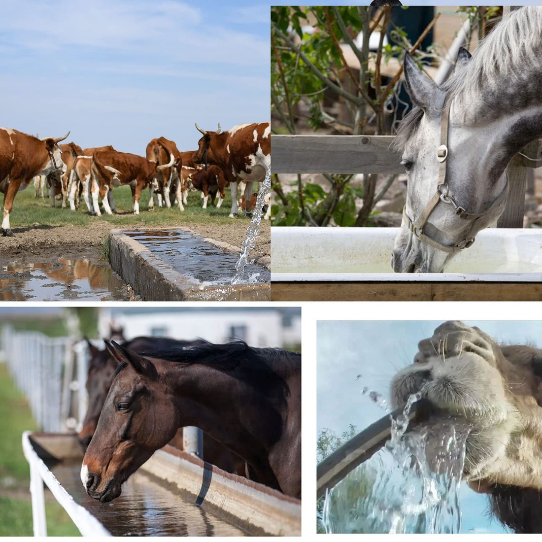 Cowboy-green LAST DAY 48% OFF – Livestock Water Trough Purifier