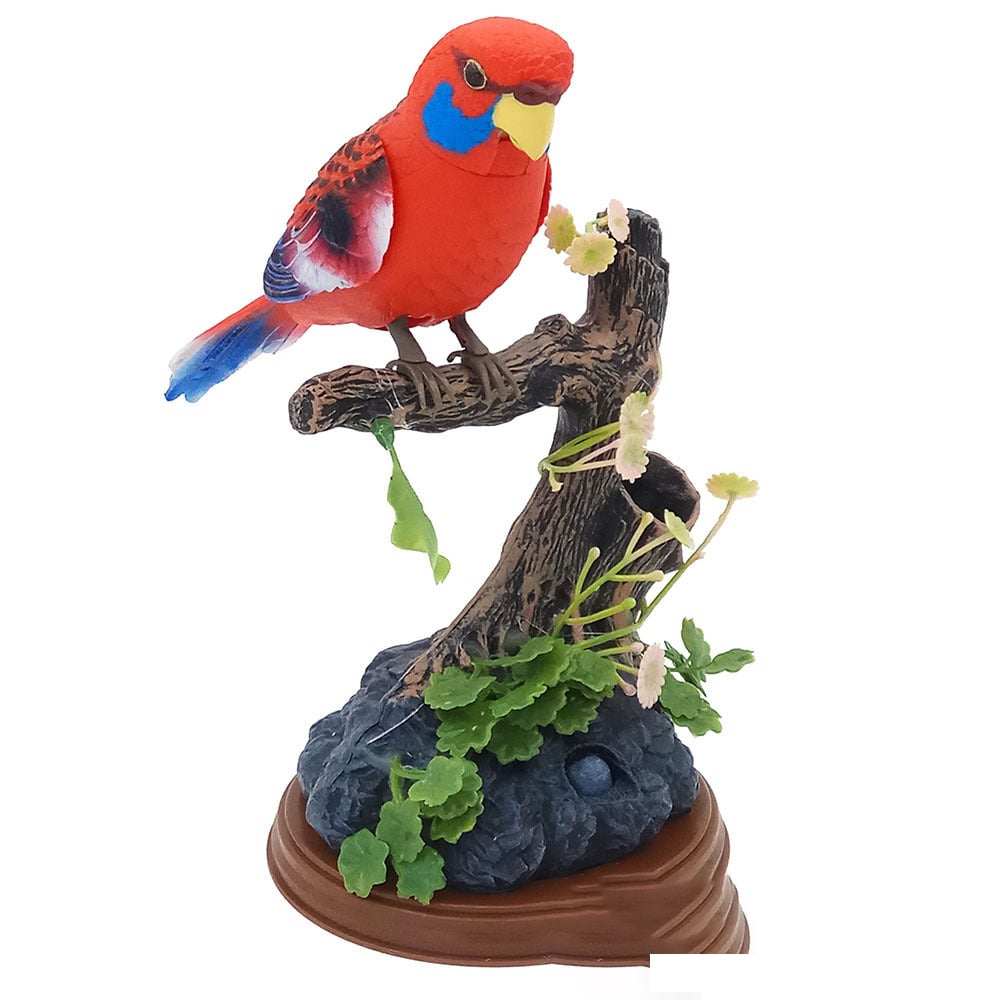 Electric Battery Operated Control Voice-Parrots