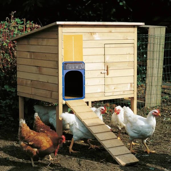 Flash Sale- 31% Off Automatic Chicken Coop Door