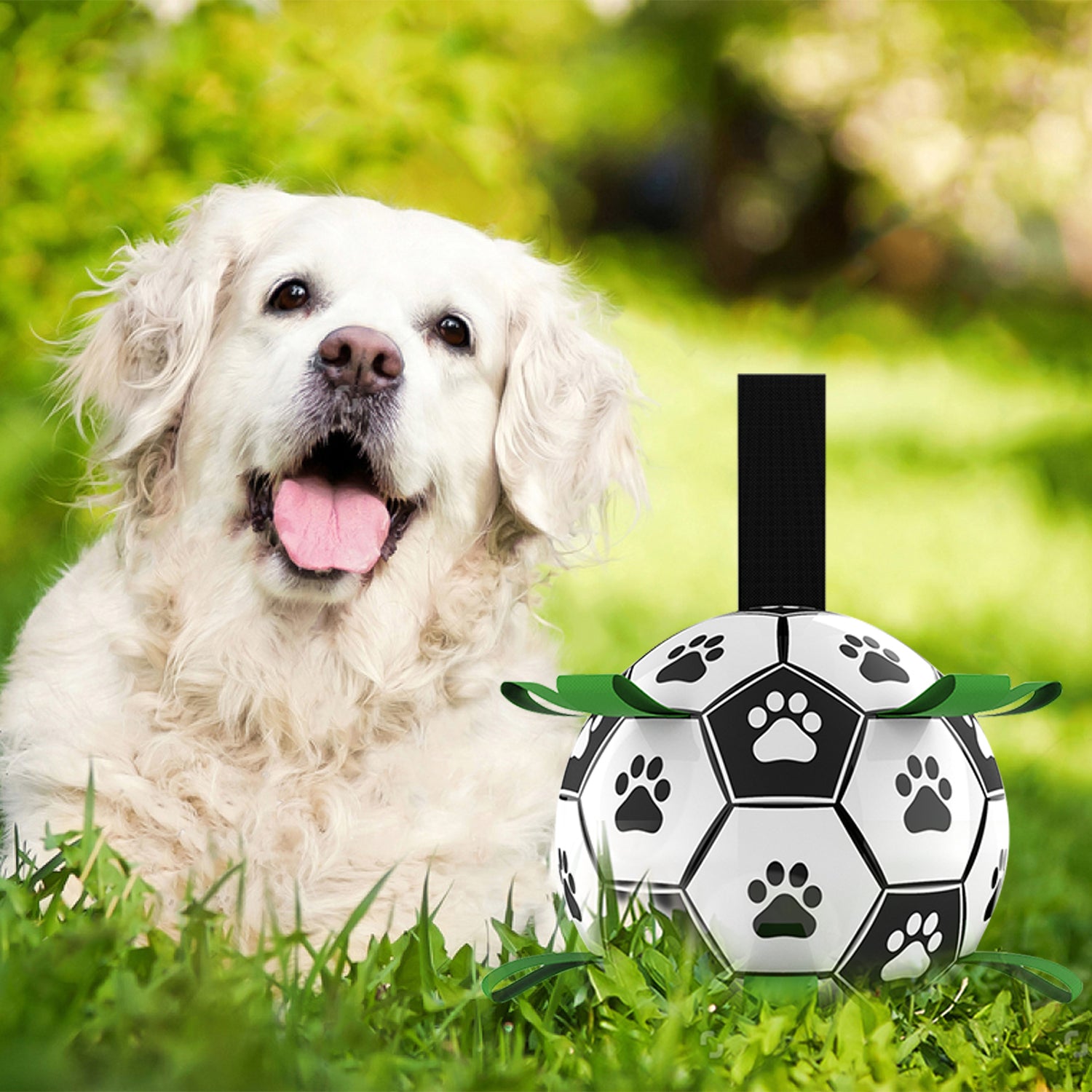 Interactive Dog Football Soccer with Grabbing Tabs