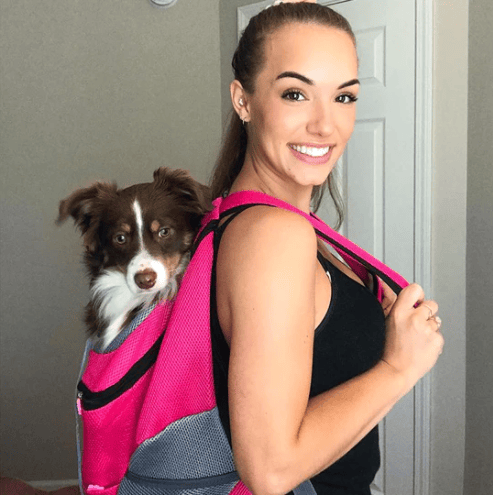 LAST DAY 48% OFF - 2023 Summer Dog Backpack