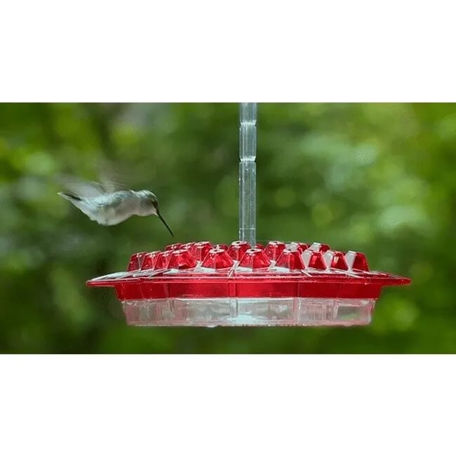 Solar Grass LAST DAY 49% OFF-MARY'S HUMMINGBIRD FEEDER WITH PERCH