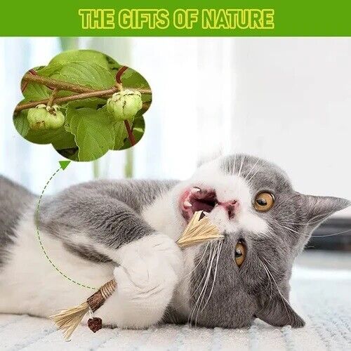 Last Day 70% OFF - Natural Silvervine Stick Cat Chew Toy - BUY 3 Get 1 Free