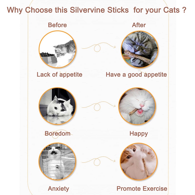 Last Day 70% OFF - Natural Silvervine Stick Cat Chew Toy - BUY 3 Get 1 Free