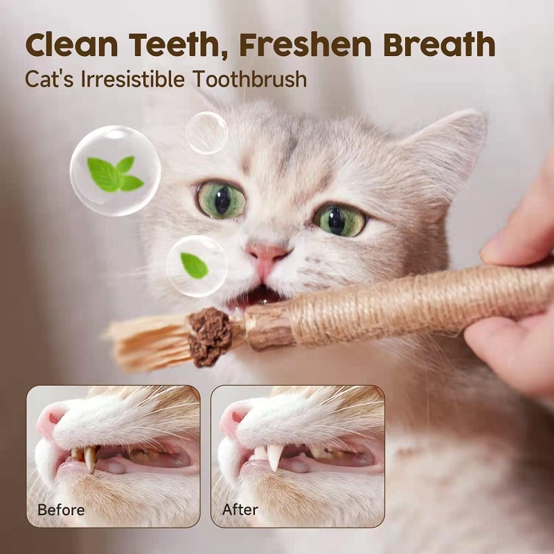 Last Day 70% OFF - Natural Silvervine Stick Cat Chew Toy - BUY 3 Get 1 Free