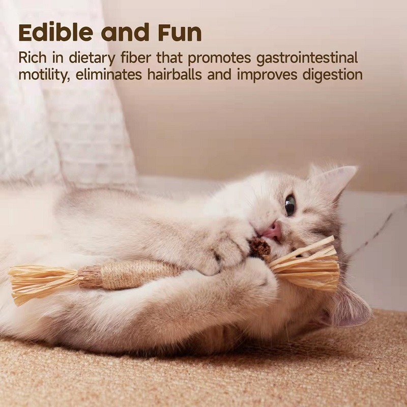 Last Day 70% OFF - Natural Silvervine Stick Cat Chew Toy - BUY 3 Get 1 Free