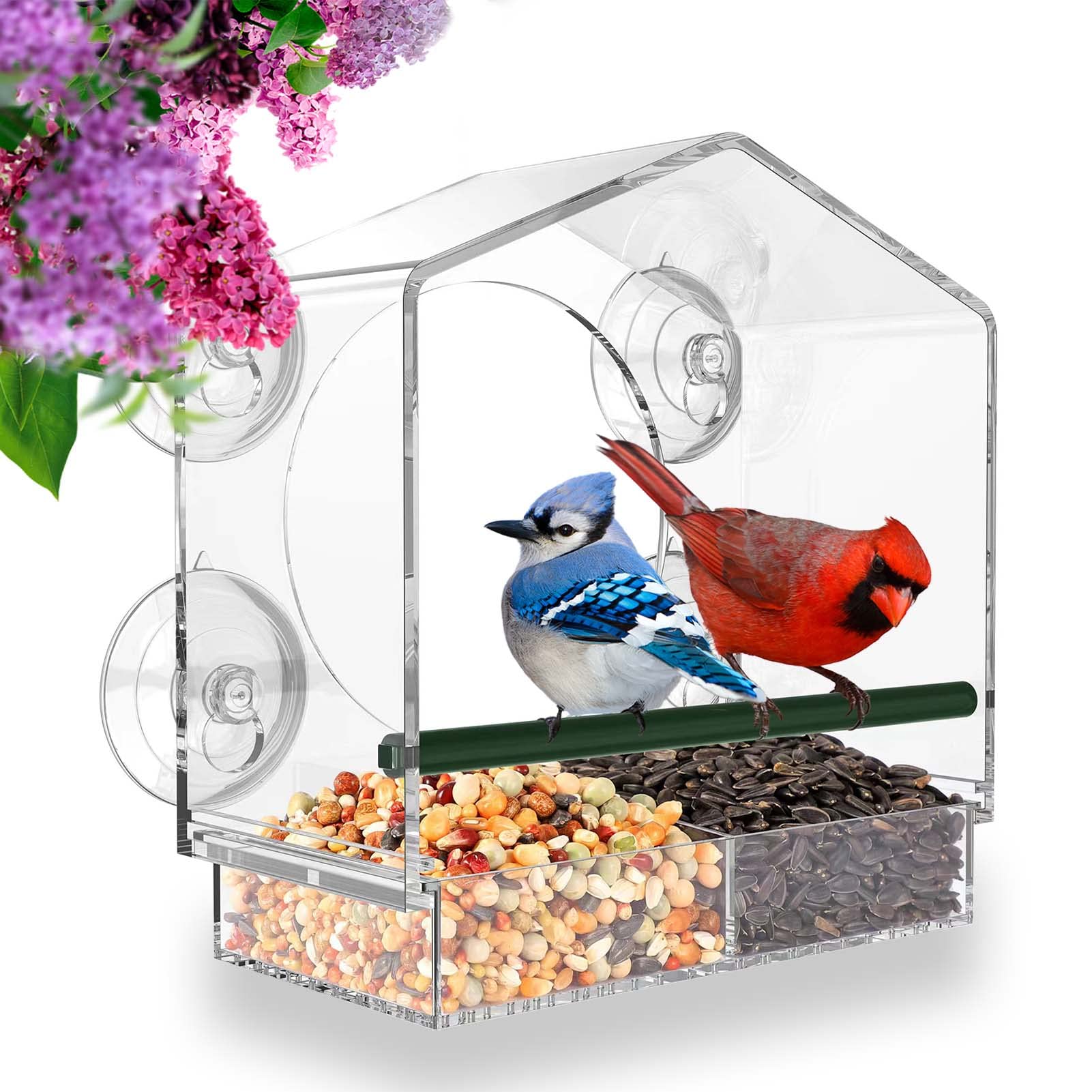 Mother's Day Early Sale-(SAVE 50% OFF)--Window Bird Feeder for Outside