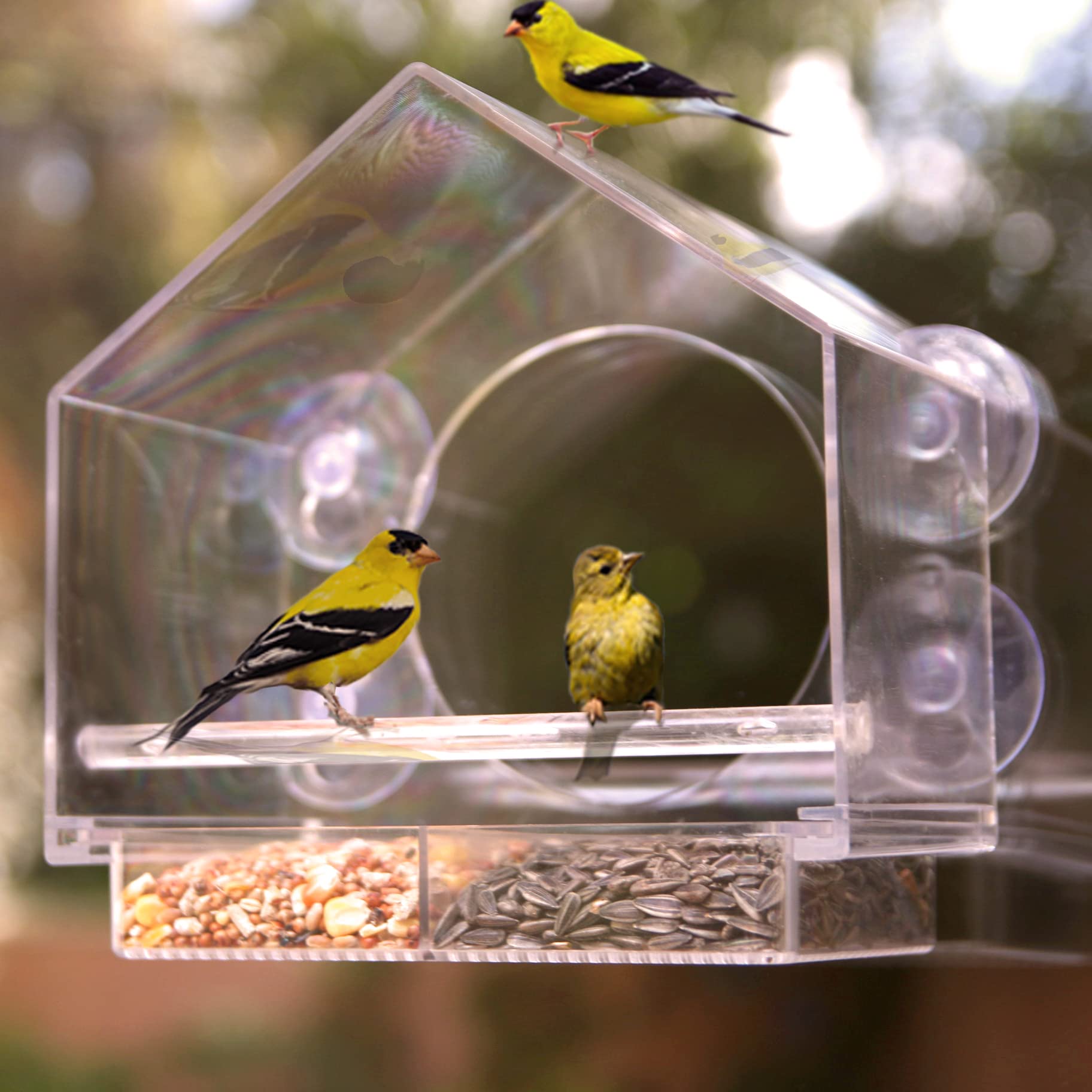 Mother's Day Early Sale-(SAVE 50% OFF)--Window Bird Feeder for Outside