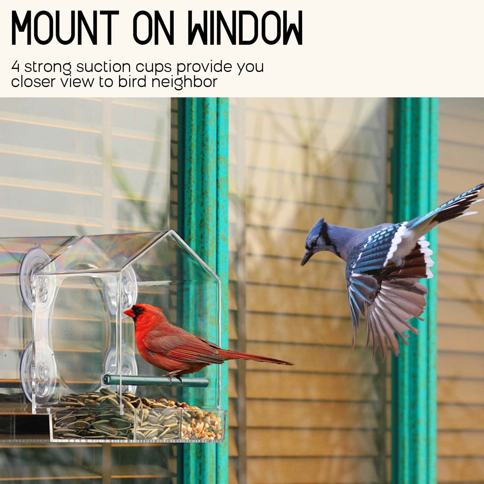 Mother's Day Early Sale-(SAVE 50% OFF)--Window Bird Feeder for Outside