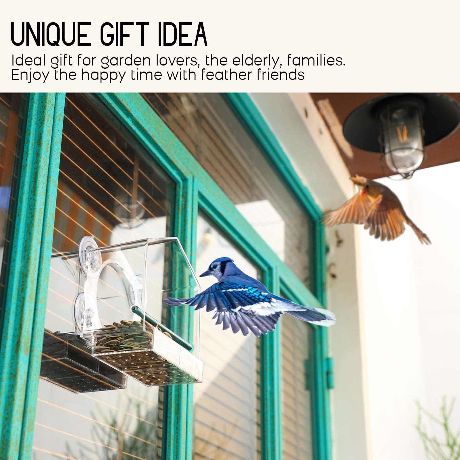 Mother's Day Early Sale-(SAVE 50% OFF)--Window Bird Feeder for Outside