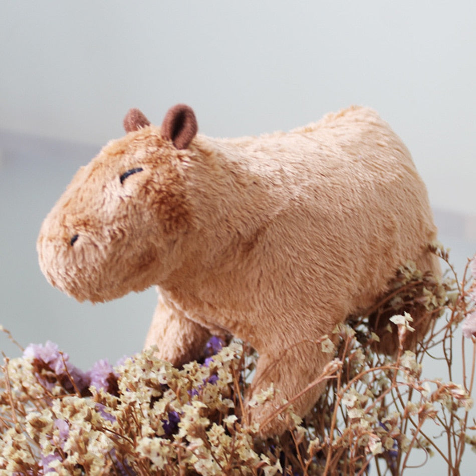 MyCapybara - Cute & Fluffy Plushie