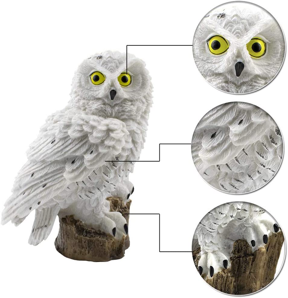 Owl Solar Light