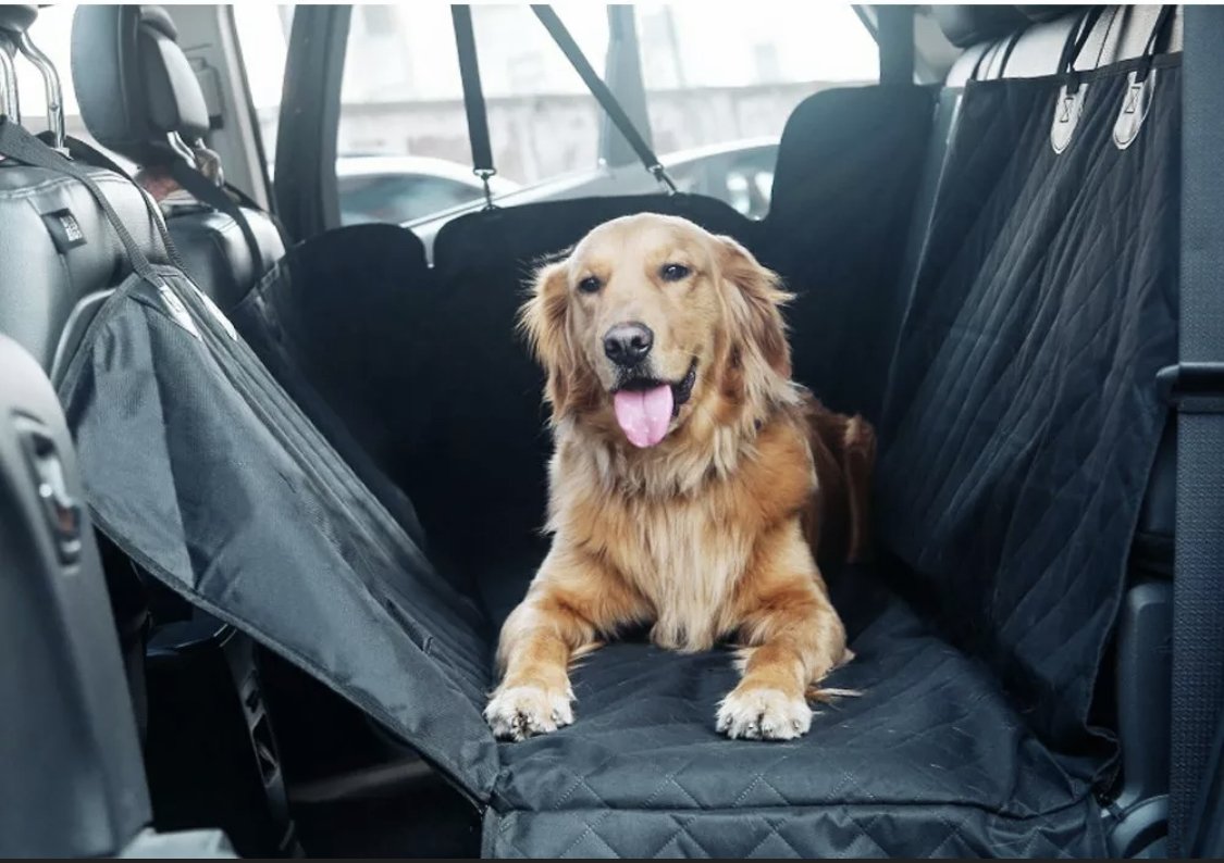 Pet Car Seat Protector + FREE Pet Seat Belt!