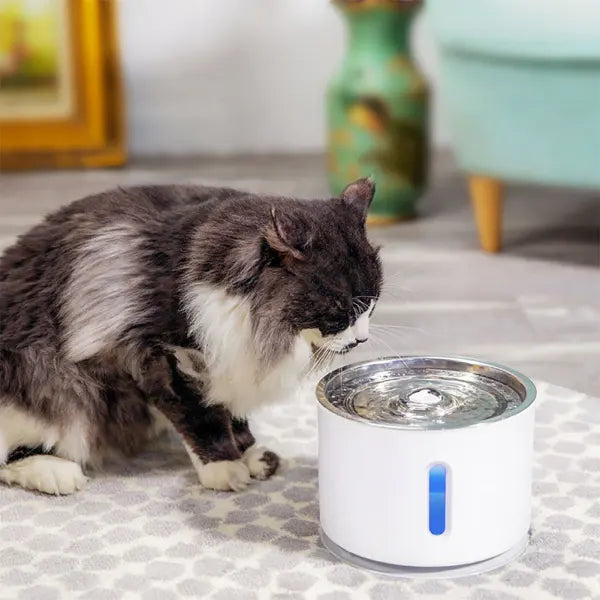 Pet Water Fountain