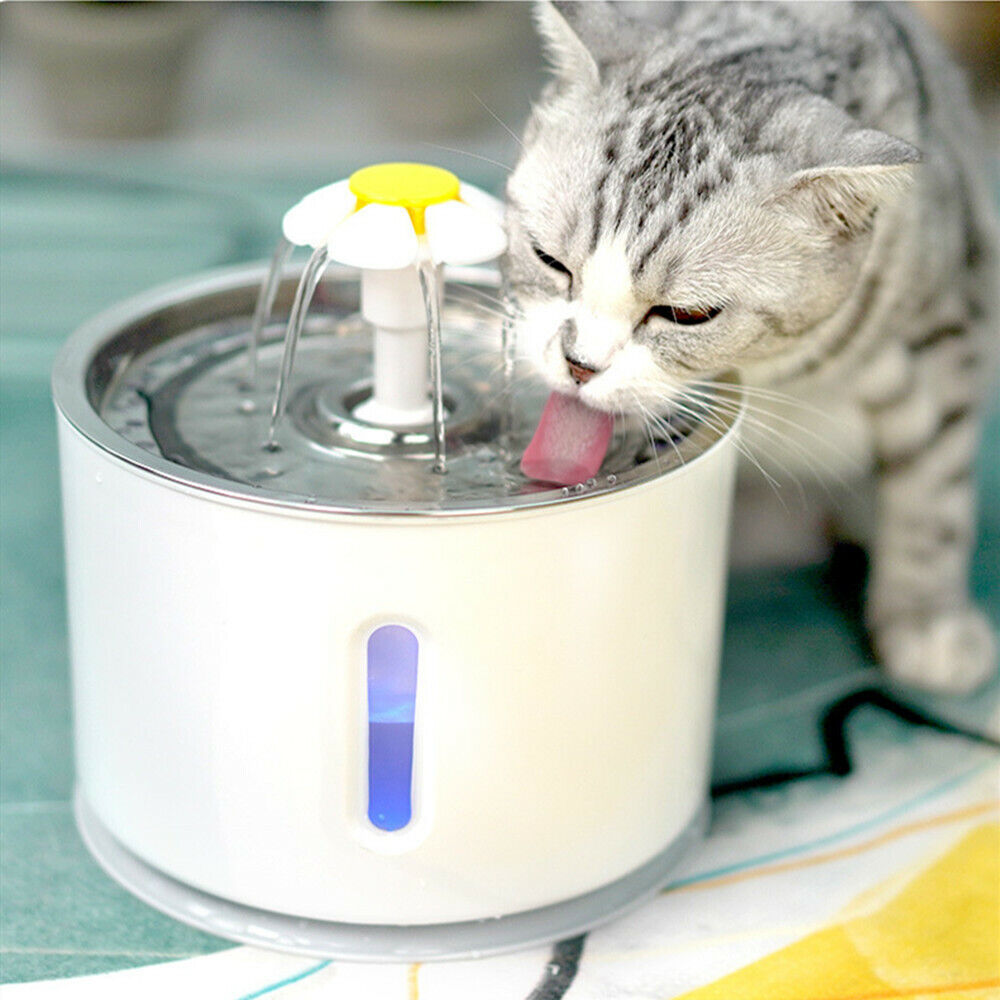 Pet Water Fountain