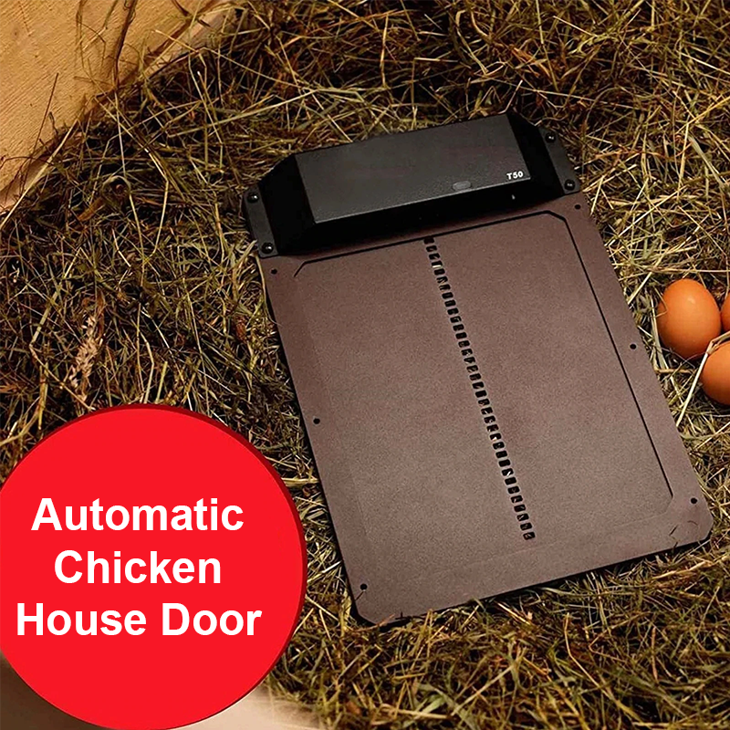 Poultry Farm Automatic Chicken House Door