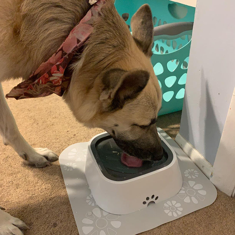 SmileyFox SpillStopper Water Bowl