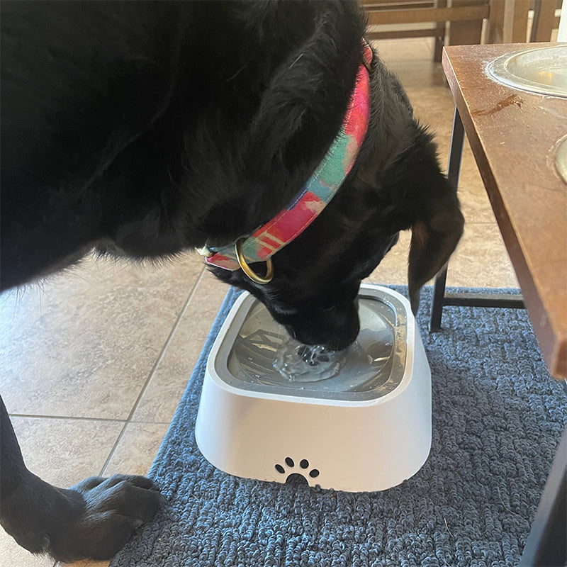 SmileyFox SpillStopper Water Bowl