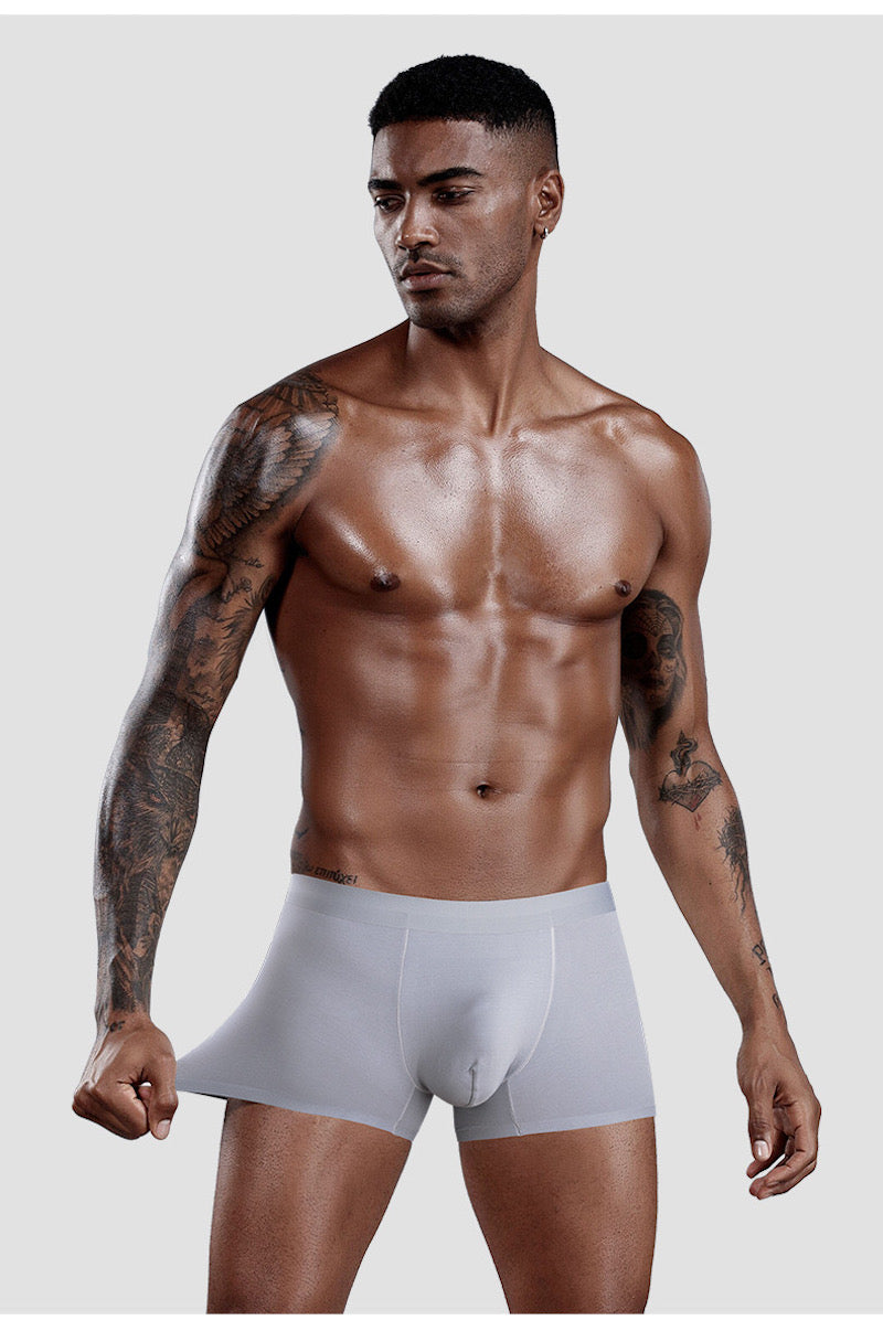 Ultra Thin Ice Silk Seamless Underpants for Men (6-Pack)  JEWYEE 1118