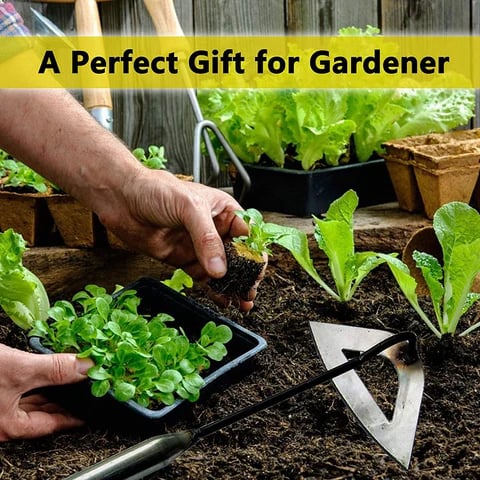 Warm Promotion 49% Off - 2023 NEW All-steel Hardened Hollow Hoe (Top choice for gardening)
