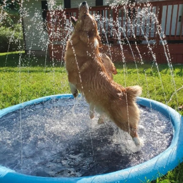 50% OFF Today Summer Splash Pad for Kids and Pets