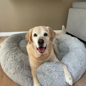 Calming Pet Bed - Removable Covers!