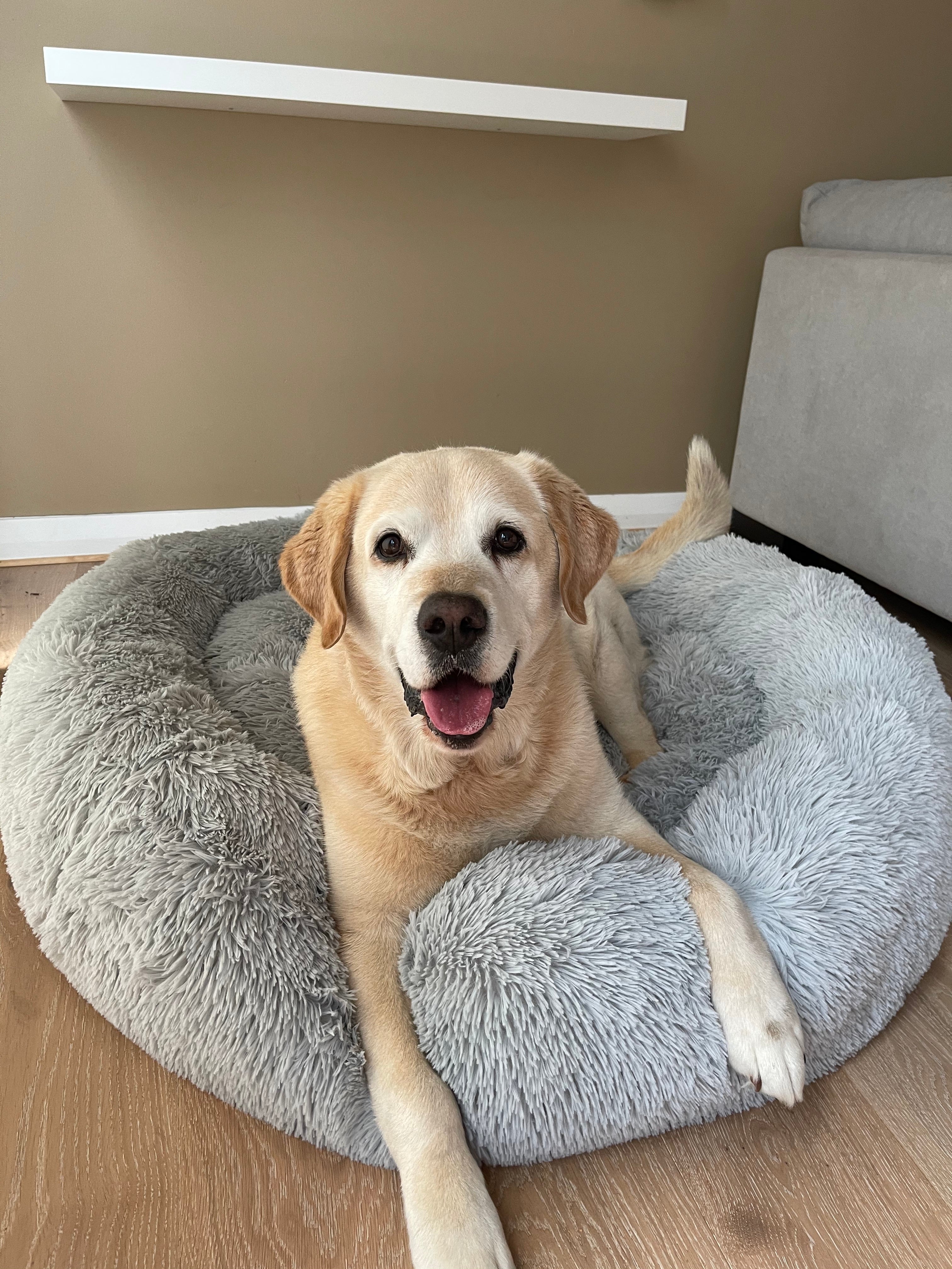 Calming Pet Bed - Removable Covers!