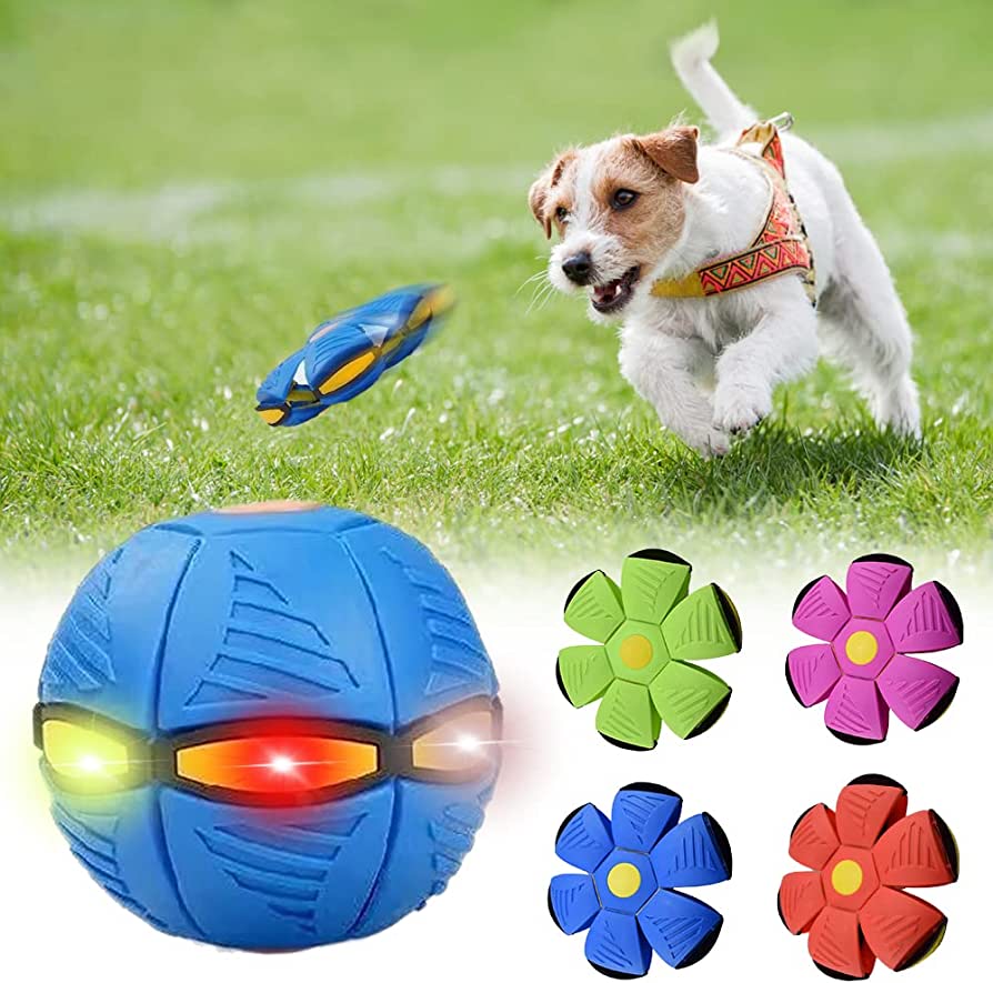 canine cove Flying Saucer Ball Dog Toy