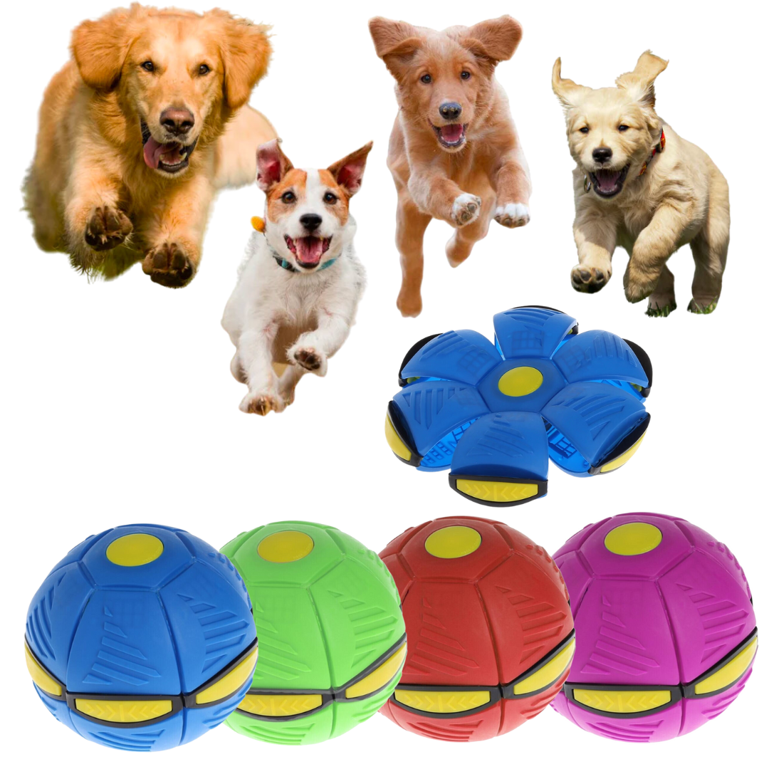 canine cove Flying Saucer Ball Dog Toy