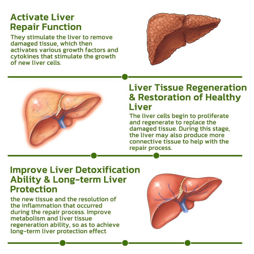 GFOUK Vegan Liver Cleaning Sinus Herbal Box