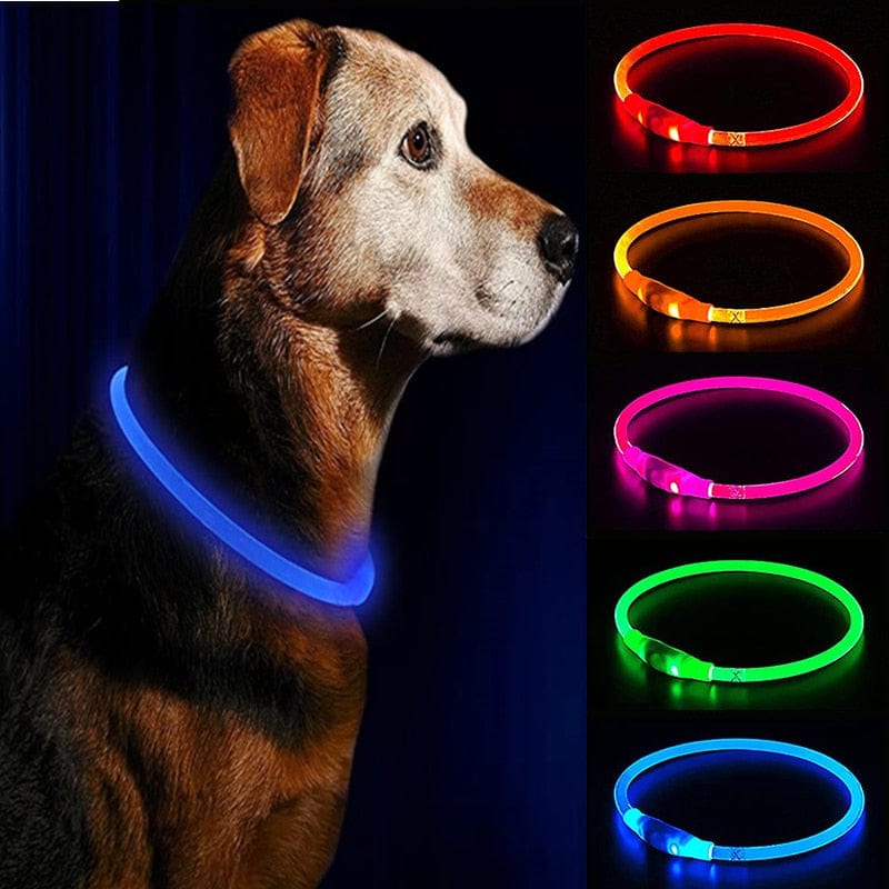 Glow in the Dark LED Reusable Adjustable Dog Collar