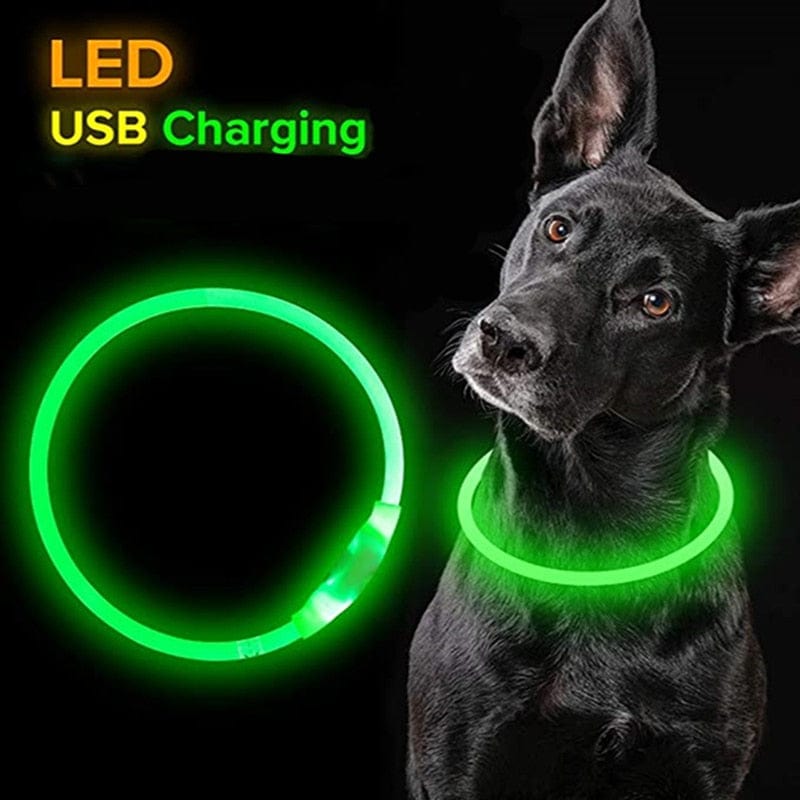 Glow in the Dark LED Reusable Adjustable Dog Collar