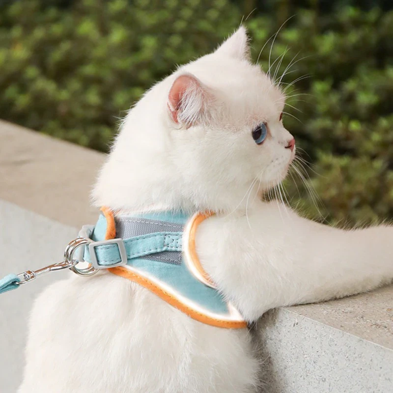 Hot Sale - Cat Harnesses Vest