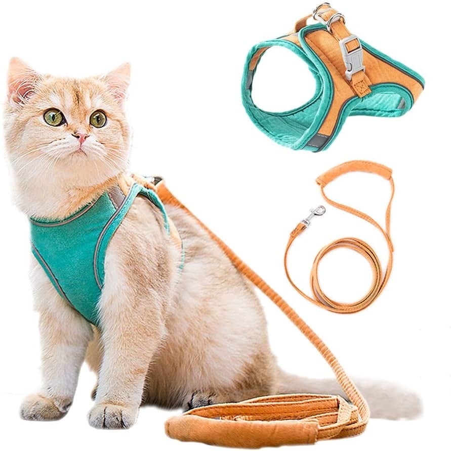 (HOT SALE NOW-49% OFF) Luminous Cat Vest Harness and Leash Set