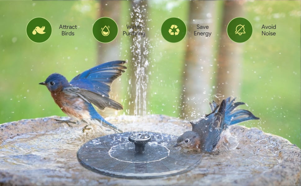 (LAST DAY 60% OFF) Solar-Powered Bird Fountain Kit
