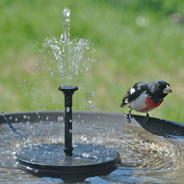 (LAST DAY 60% OFF) Solar-Powered Bird Fountain Kit
