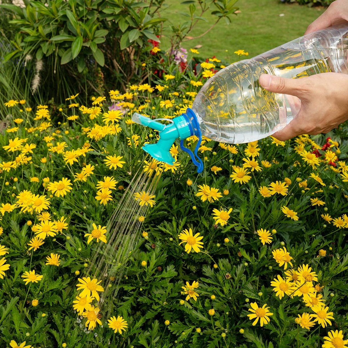 Last Day 75% OFF - Water Cans Sprinkler Nozzle Shower Head