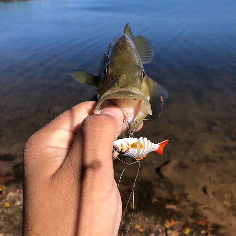 Micro Jointed Swimbait - BUY 4 GET 1 FREE