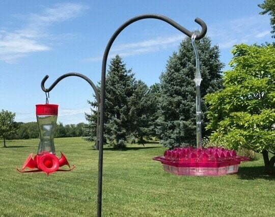 Lowest Price - Mary's Sweety Hummingbird Feeder With Perch And Built-in Ant Moat