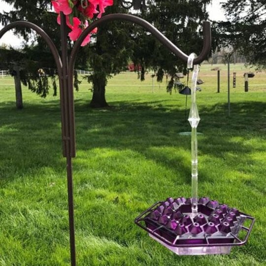 Lowest Price - Mary's Sweety Hummingbird Feeder With Perch And Built-in Ant Moat