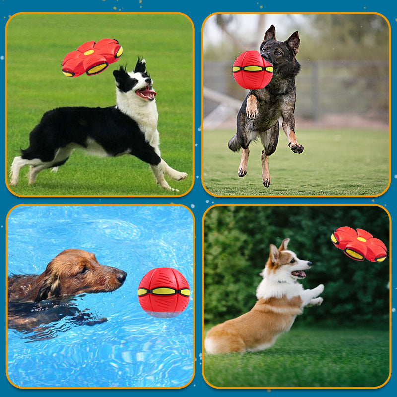 MOLUNY - Pet Toy Flying Saucer Ball