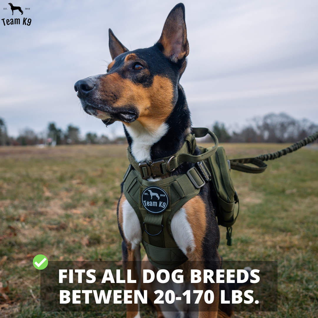 NEW Upgraded Heavy-Duty Tactical No-Pull Team K9 Dog Harness With Front & Back D-Rings, Quick-Release Metal-Buckles, Hook & Loop Panels, & Top Handle