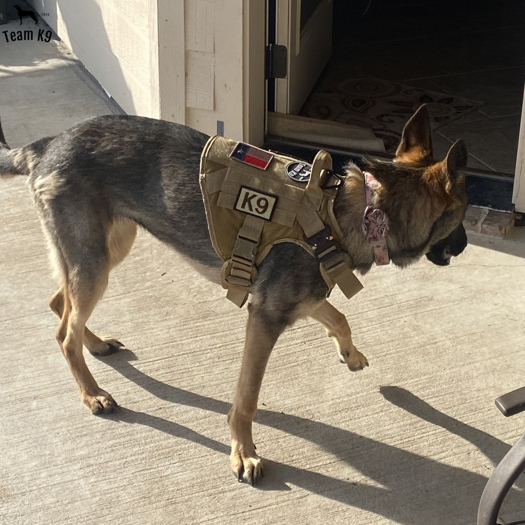 NEW Upgraded Heavy-Duty Tactical No-Pull Team K9 Dog Harness With Front & Back D-Rings, Quick-Release Metal-Buckles, Hook & Loop Panels, & Top Handle