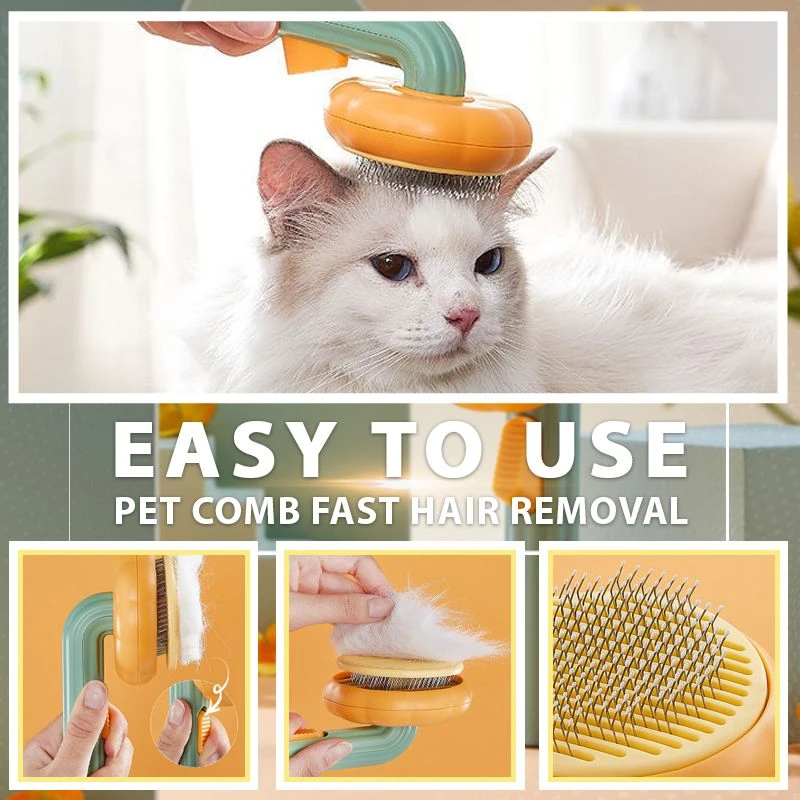 Pet pumpkin brush