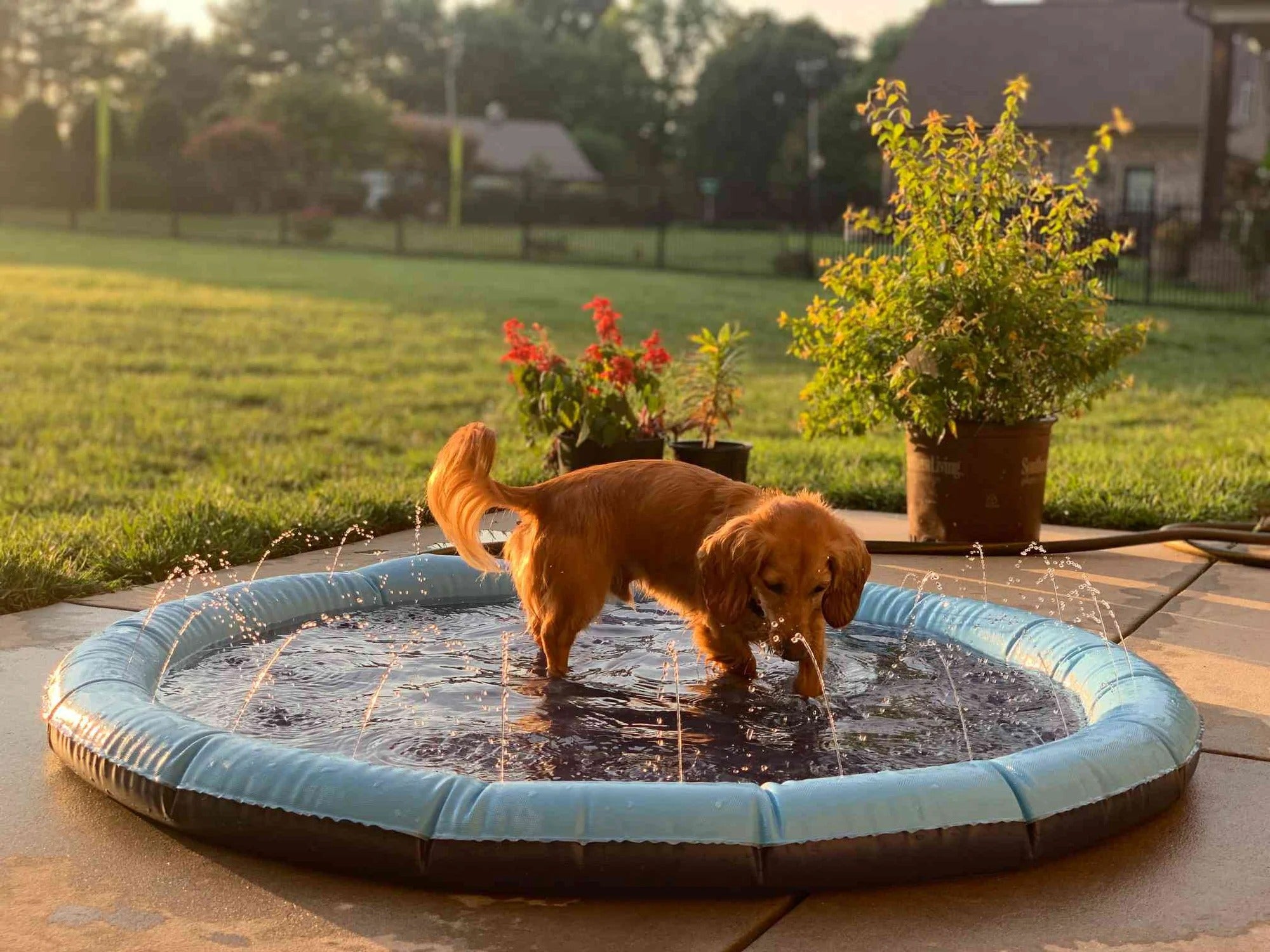 PupSpray Refreshing Dog Sprinkler Pad