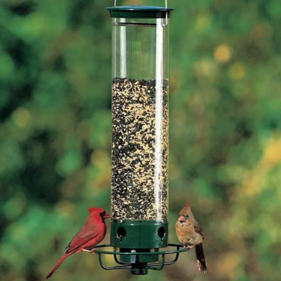 timbelly Squirrel-Proof Bird Feeder