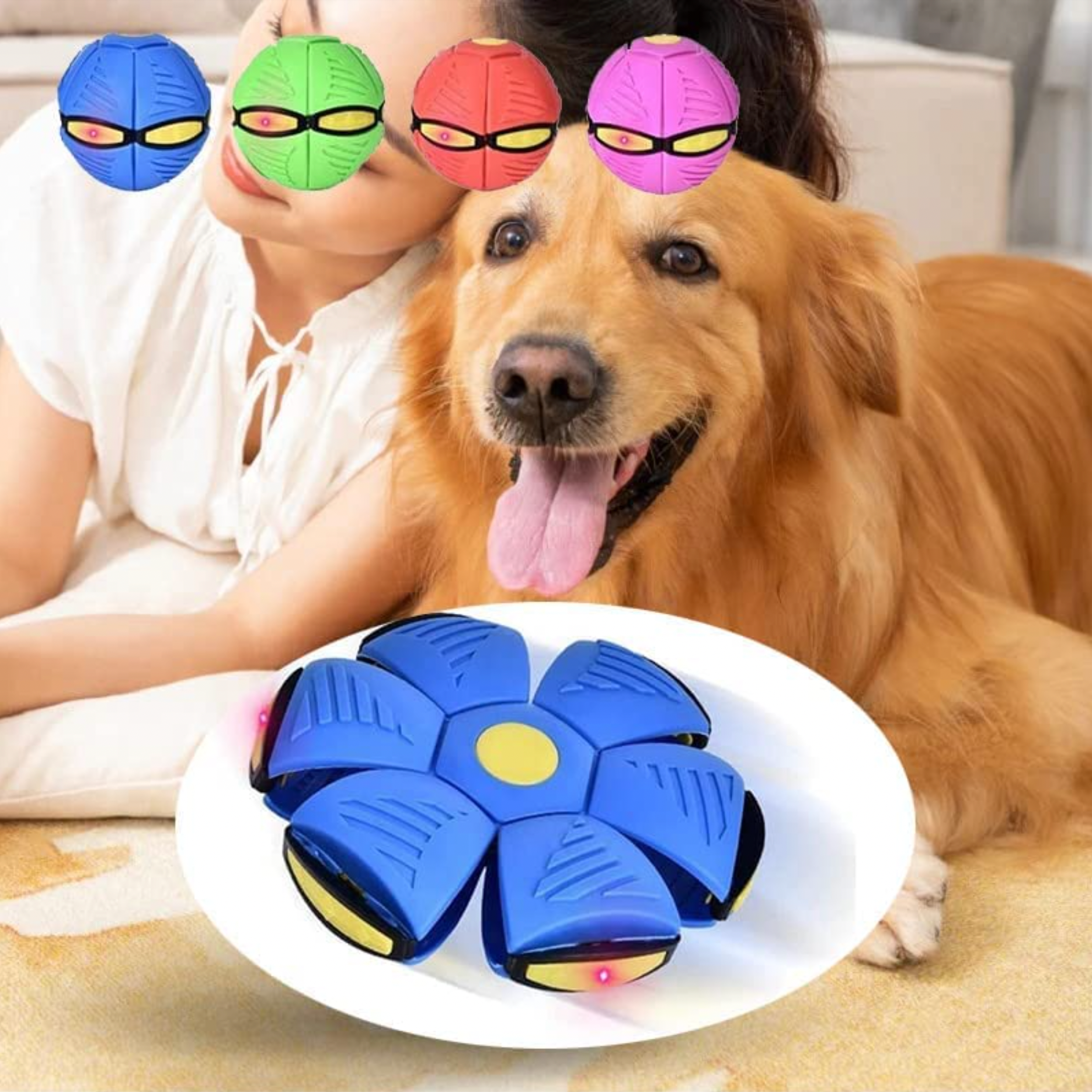 BallBuddy Dog Toy