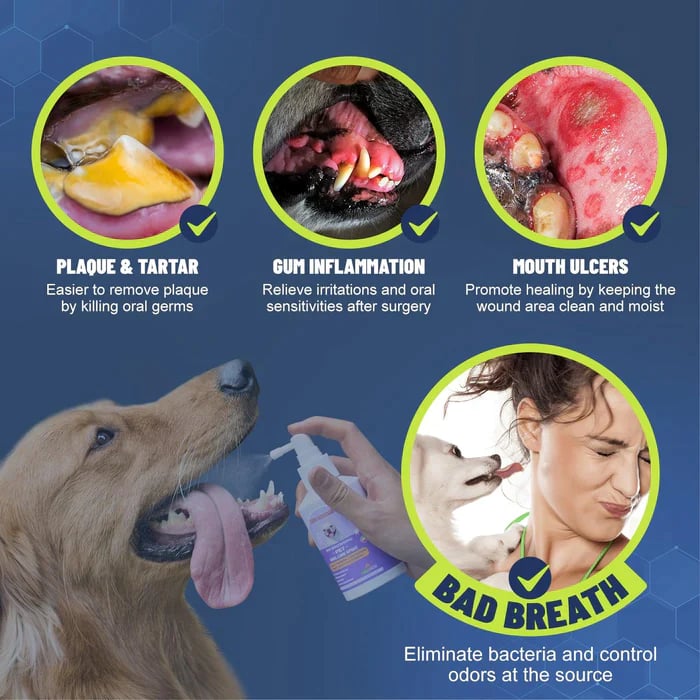 Business Teeth Cleaning Spray for Dogs & Cats, Eliminate Bad Breath, Targets Tartar & Plaque, Without Brushing