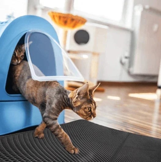 (HOT SALE-49% OFF) Non-Slip Cat Litter Mat