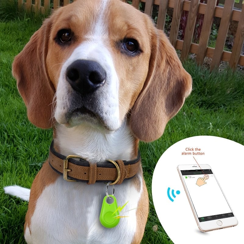 LAST DAY 49% OFF - Bluetooth and GPS Pet Wireless Tracker